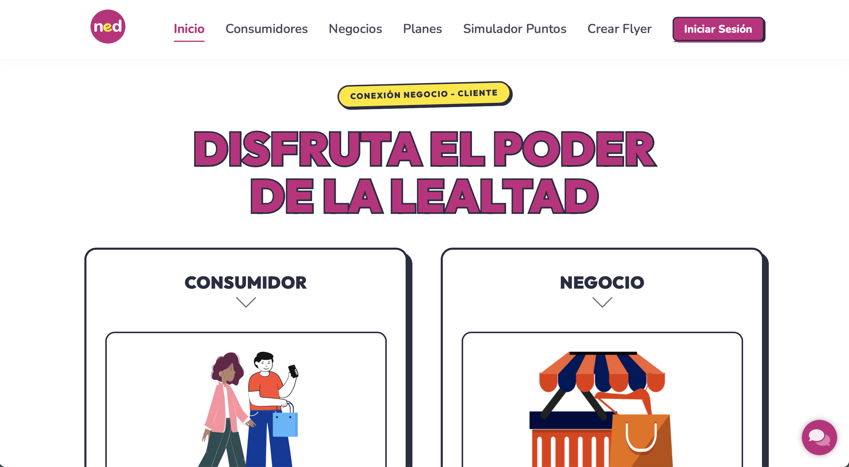 NED Plataforma Web